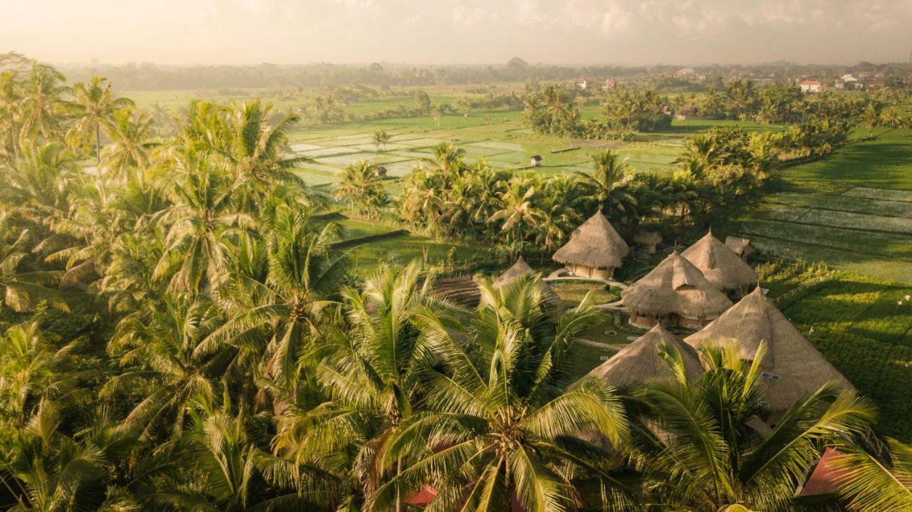 Hotel Mana Earthly Paradise Ubud (Bali)
